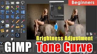 GIMP Tutorial  Master Tone Curves for Perfect Exposure [upl. by Demetra]