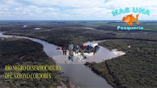 Pesca en Río Negro Uruguay Pejerrey Arroyo Cordobés 2024 [upl. by Jerrold]