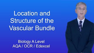 A Level Biology quotThe Location and Structure of the Vascular Bundlequot [upl. by Oniram134]