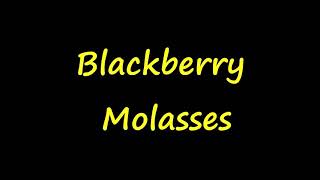 Mista Bobby V  Blackberry Molasses Lyrics [upl. by Aynnek]