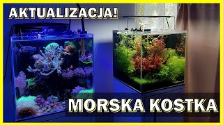 Morskie Morska kostka 27L  Aktualizacja 📅 [upl. by Llekcor641]