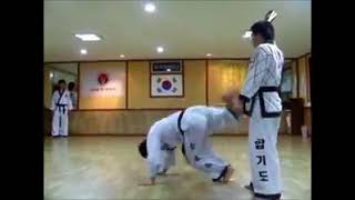 Special Kicks KOREA HAPKIDO FEDERATION [upl. by Doubler]