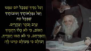 End Of Shemoneh Esrei By The Shefa Chaim  Sanz Klausenburg Rebbe [upl. by Aicilas]