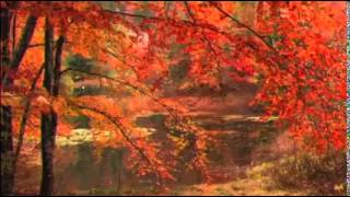 Lautunno di Tchaikovsky [upl. by Lipcombe907]