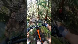 Insane Freeride MTB line gopro mtb squamish [upl. by Mima]