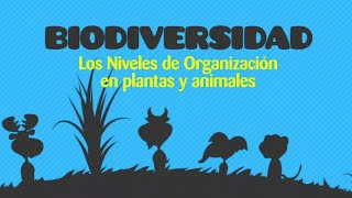 Biología Biodiversidad [upl. by Damas836]