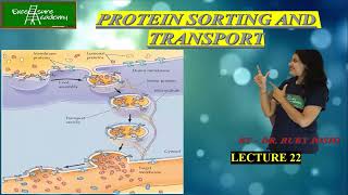 Nucleus Lecture22 Cell Biology Protein sorting and Transport [upl. by Letizia921]