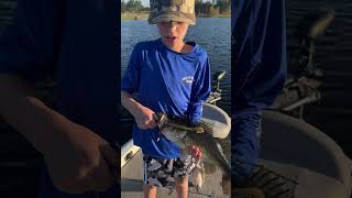 fishingtips Tuesday Fishing in grass Try a Texas riigged speed worm tipsandtricks howto bass [upl. by Ayekam]