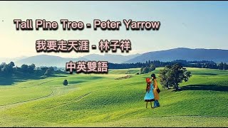 Tall Pine Tree Vs 我要走天涯  Peter Yarrow Vs 林子祥【中英雙語歌詞】VJBO [upl. by Ramsay]