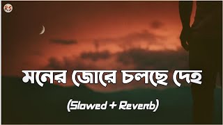 Moner Jore Cholse Deho SlowedReverb  Habib  মনের জোরে চলছে দেহ [upl. by Sucul234]