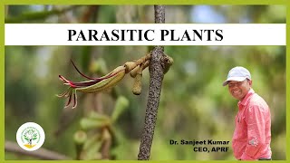 Parasitic plants Dr Sanjeet Kumar Ambika Prasad Research Foundation Odisha medicinalplant [upl. by Anegroeg]