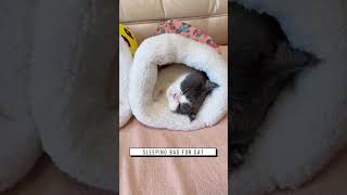 Cat sleeping bag Link is on bio or copywwwniopetscom [upl. by Nasho936]