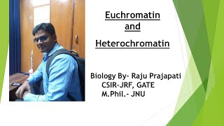 Euchromatin and hetero chromatin  structure and difference  in hindi  life science  Samir Maity [upl. by Keating]