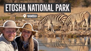 Wildlife Wonderland 6 Epic Days in Etosha National Park [upl. by Naimed]