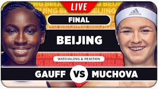 GAUFF vs MUCHOVA • WTA Beijing 2024 Final • LIVE Tennis Watchalong Stream [upl. by Namurt]