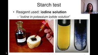 Food Tests Biological Molecules  Nutrients [upl. by Liggett]