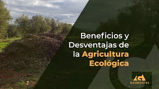 Beneficios y Desventajas de la Agricultura Ecológica [upl. by Ingrim]