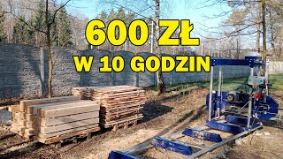 115 Własny trak  czy to się opłaca Cormak E560 [upl. by Nancy]