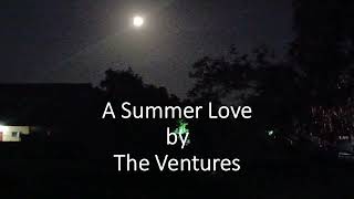 The Ventures  A Summer Love [upl. by Harvie743]