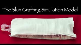 Split Thickness Skin Graft Simulation Model [upl. by Stuckey7]