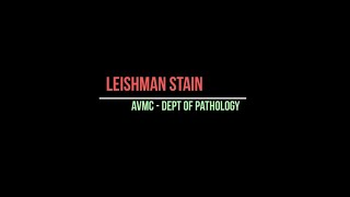 Unveiling the Intricacies of Peripheral Smear Preparation with Leishman Staining [upl. by Anert172]