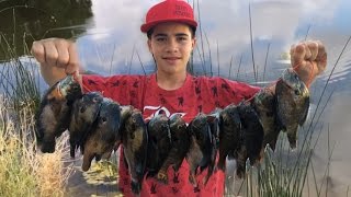 Bass And Bluegill Fishing Kids Catch Over 50 Fish In A Few Hours [upl. by Zailer292]