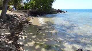 MOOREA BEACH TAHITI FRENCH POLYNESIA HD 1080p [upl. by Aettam105]