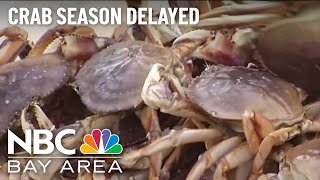 California regulators delay start to Dungeness crab season [upl. by Accber]