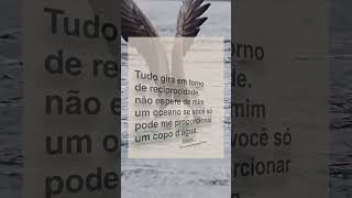 Reciprocidadeyoutube boasfrases reciprocidade shortsviral bomdiamotivacional shortvideos fe [upl. by Hwang]