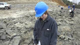 Eocene Fossil Hunting at the Cement Quarry in Harleyville South Carolina [upl. by Sibel405]