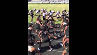 Bladensburg vs Flowers Cheer Battle 2015 [upl. by Landan681]