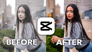 CapCut Color Grading 101 Tutorial [upl. by Lleoj]