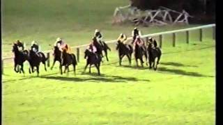 1983 dewhurst stakes el gran senor [upl. by Flore]