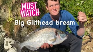 GILTHEAD BREAM MISSIONFISHING GUIDES DEVON SERIESKINGSBRIDGE ESTUARYPAUL BASSMAN [upl. by Halden]