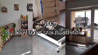 VLOG  48h avec une toiletteuse vlog grooming [upl. by Riba]