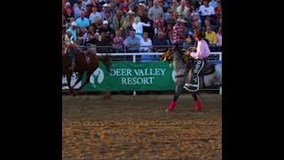 8 second bareback bronc riding buckaroo stuck like glue shorts [upl. by Zashin669]