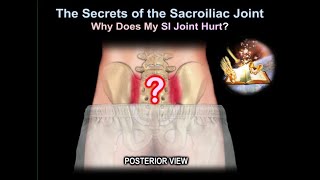 sacroiliac Joint pain why it Hurts  Everything You Need To Know  Dr Nabil Ebraheim [upl. by Mathew]