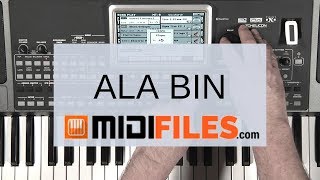 🎼 PRO MIDI FILE  ALA BIN  Seiler amp Speer [upl. by Alyse]