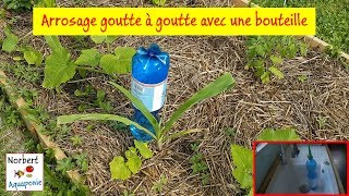 💦 Arrosage goutte à goutte avec une bouteille [upl. by Finnie5]