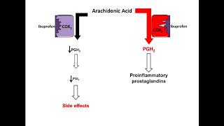 Ibuprofen  Mechanism of Action [upl. by Bond]