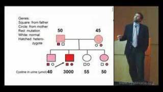 The Genetics and Inheritance of Cystinuria [upl. by Moffat]