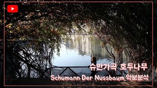 Schumann Der Nussbaum 가사발음과 악보분석 [upl. by Randal98]