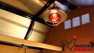 Infrared Heat Lamp from Chicken Condos [upl. by Lraep]