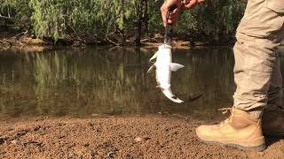 Fishing Lakefield [upl. by Nodnorb985]