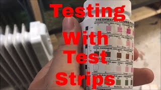 How to use Test Strips to check your water quality Ammonia Test Nitrite Test Nitrate test [upl. by Rustin]