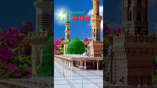 I love madina manawra❤❤ [upl. by Eduino551]