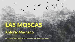 LAS MOSCAS  Un poema recitado de Antonio Machado [upl. by Ocsicnarf]