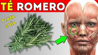 ENFERMEDADES que CURAN con TÉ de ROMERO CÓMO TOMARLO [upl. by Tirrag]