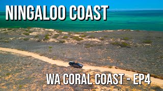 WA Coast Trip Ep4  Ningaloo Coat Part1 [upl. by Niret]