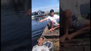 pescador nativo pegando peixe bruto na linhada [upl. by Savina462]